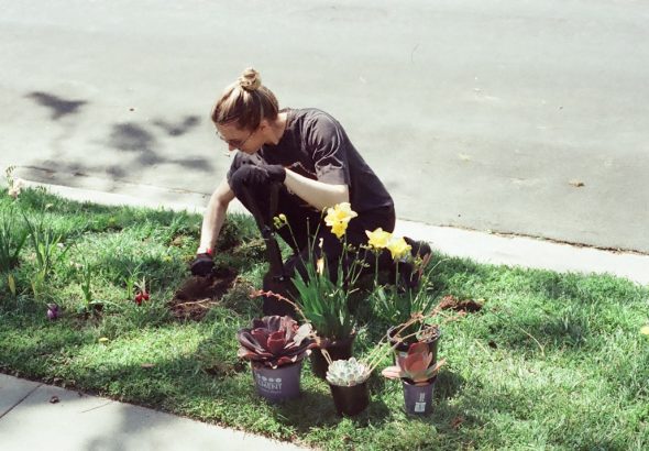 Featured image for: trabajos de jardinería en usa